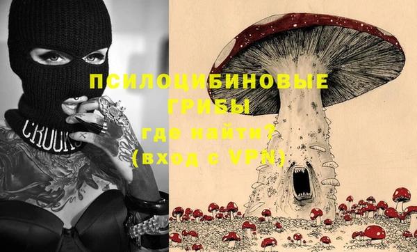 apvp Алзамай