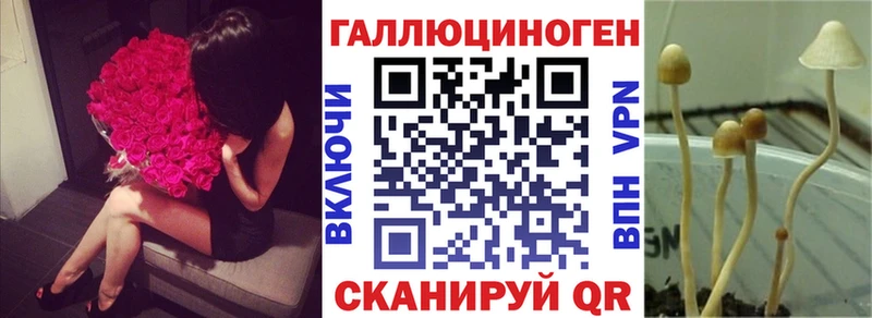 магазин продажи   Удомля  Псилоцибиновые грибы ЛСД 